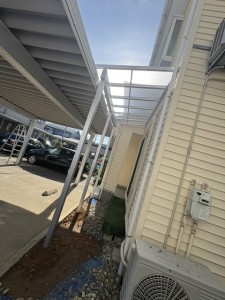 image7 (67)
