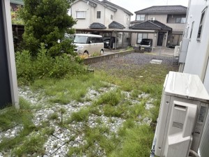 image7 (69)