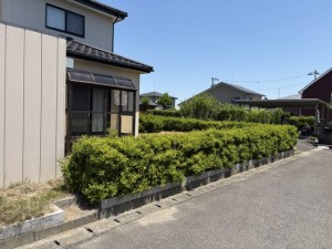 image3 - 2026-09-26T175855.970