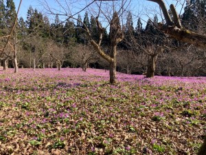 492002858_1269609361834352_2439555266399624432_n