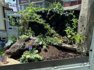 image5