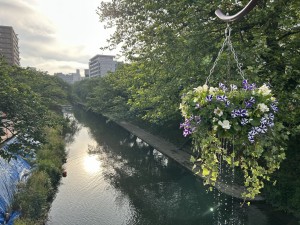 IMG_2433