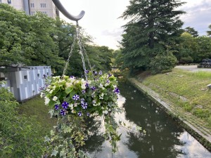 IMG_2440