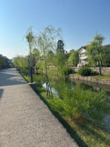 IMG_2573