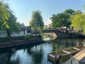 IMG_2578