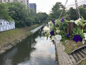 IMG_3299