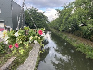 IMG_3305