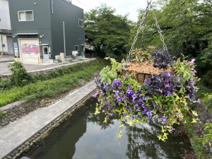 IMG_3410