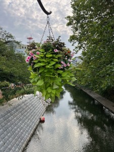 IMG_3439
