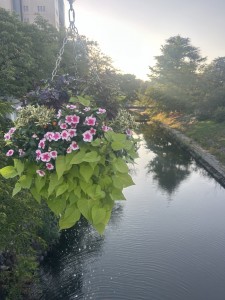IMG_3459