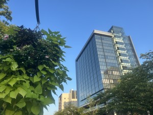 IMG_3473