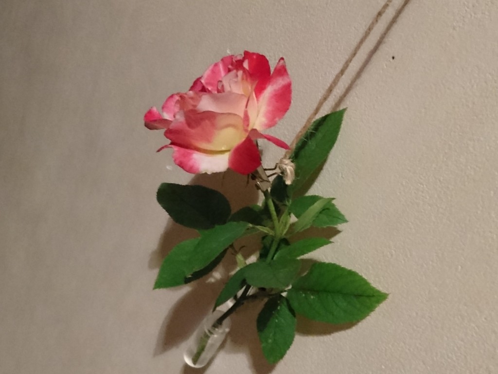 １本の薔薇