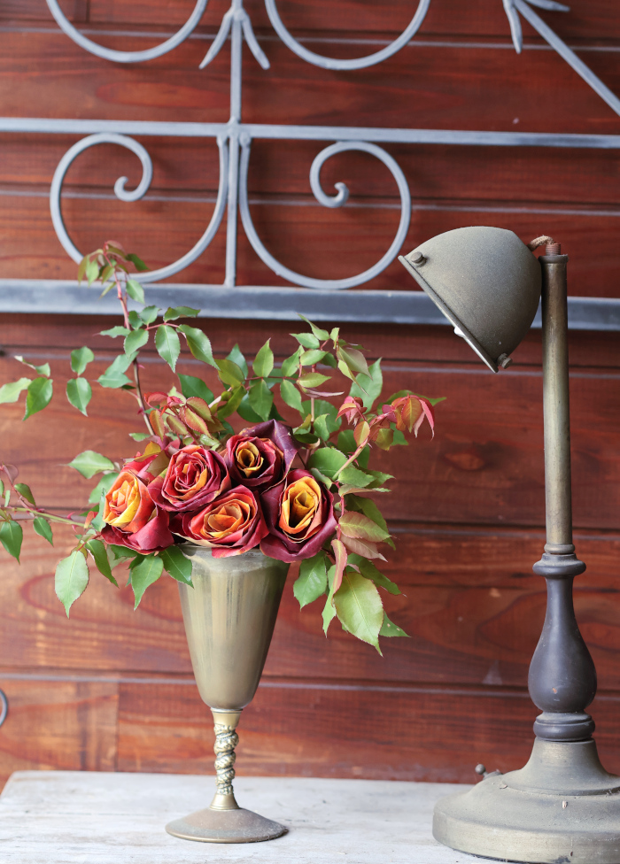 ナンキンハゼの葉のバラ