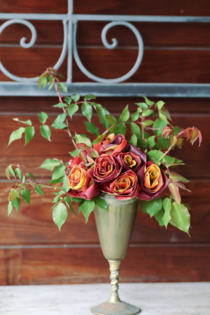 ナンキンハゼの葉のバラ