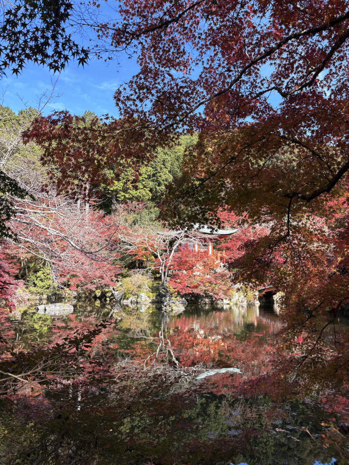 醍醐寺の紅葉