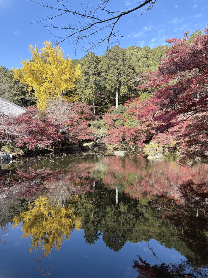 醍醐寺の紅葉