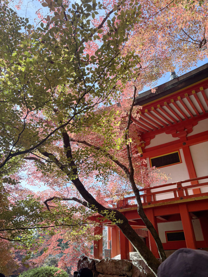醍醐寺の紅葉