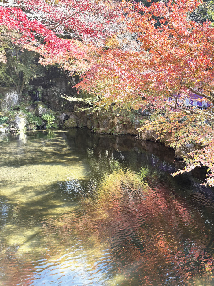 醍醐寺の紅葉