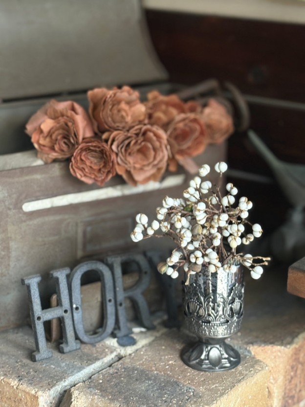 ナンキンハゼの実