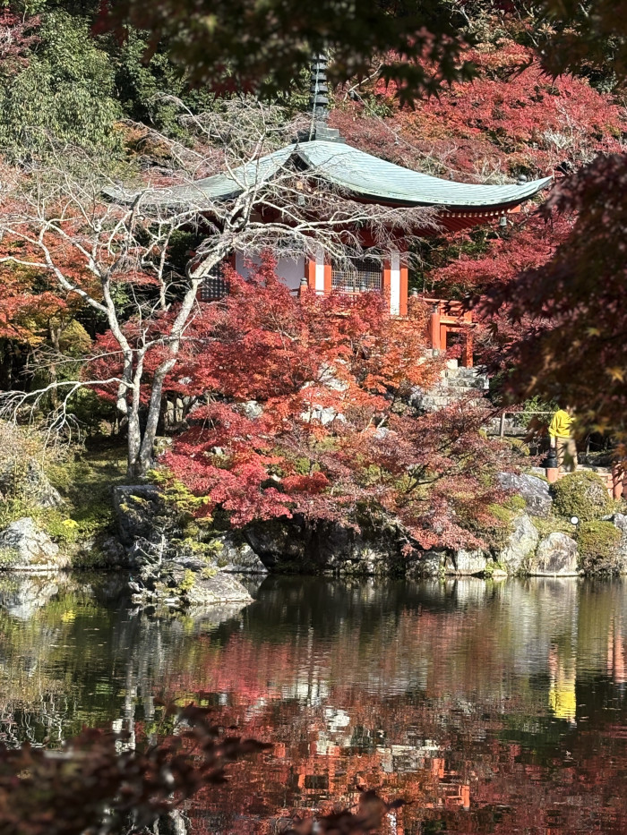 醍醐寺の紅葉
