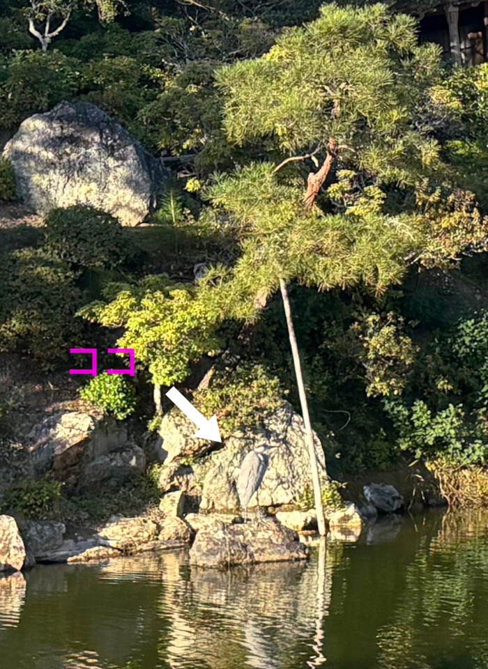 仁和寺