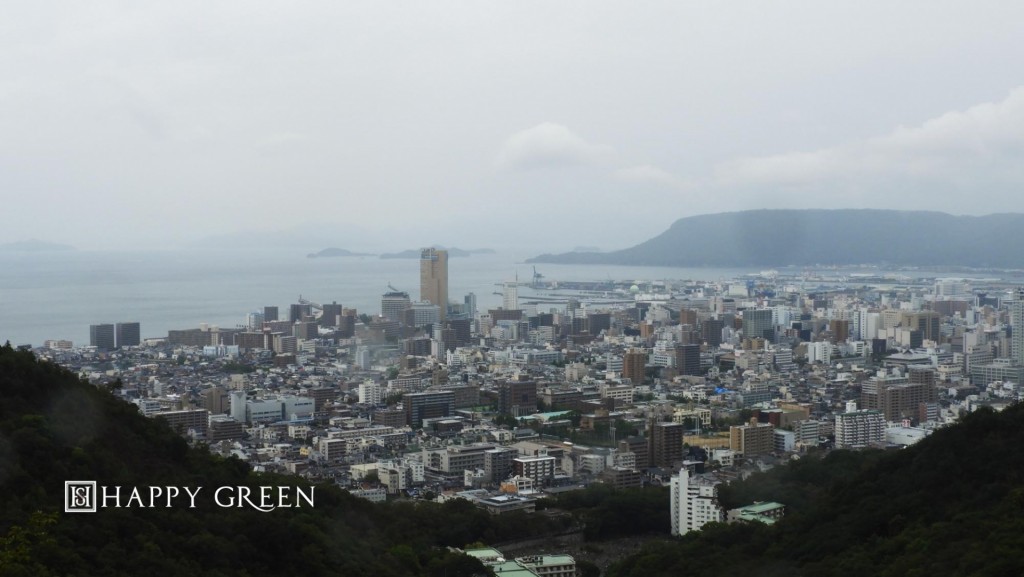 DSCN9296 (2)