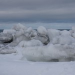 海岸の流氷