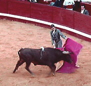 ポルトガルの闘牛