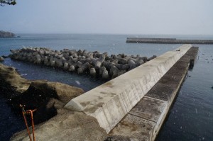 室浜漁港の防波堤では釣り人が一人