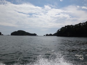 DSC09609