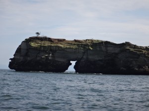 DSC09614