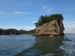 DSC09687
