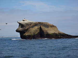 DSC09698