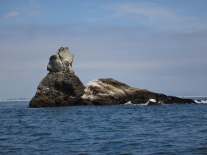 DSC09700