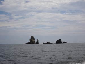 DSC09703