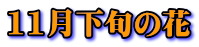 logo11gatu