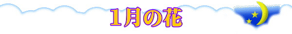 logo-1gatunohana