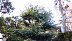 KIMG0535