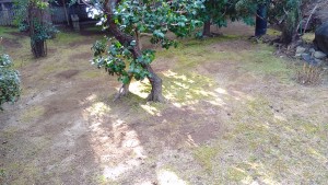 KIMG0546