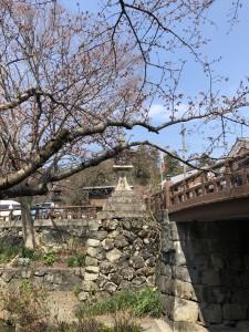 190D9B43-729C-45FD-AB62-3D02E76A289A