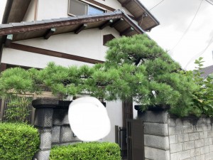 IMG_1361