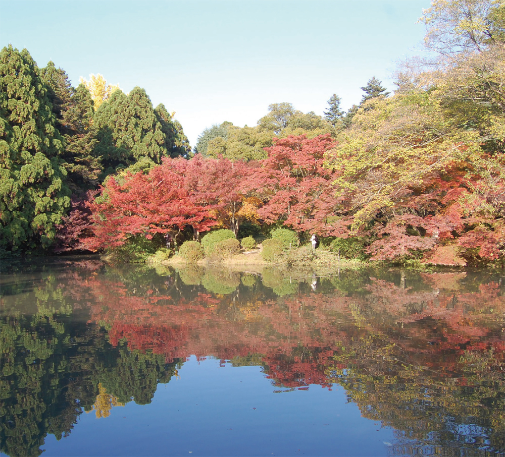 美しい借景を水面に映し、秋の情緒を楽しむ（京都府立植物園）