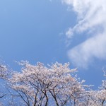 桜空