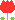 tulip1-red