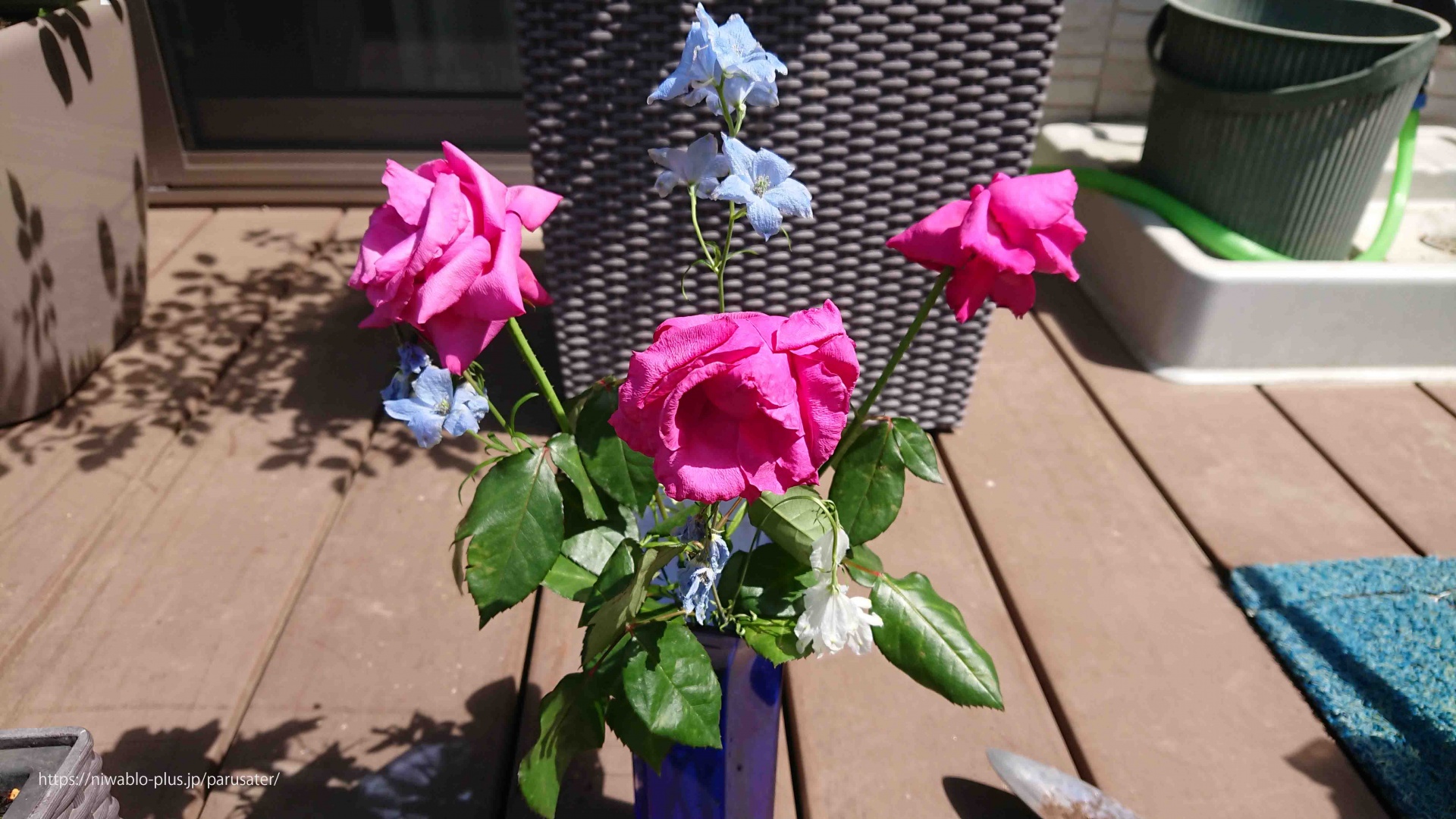 清流に守られて Season 3