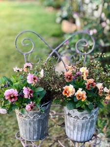 ミルフル寄せ植えブログ用