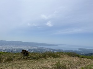 IMG_7532