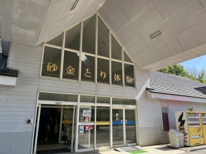 IMG_7533