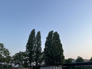 IMG_0072