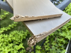 IMG_0093